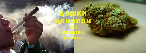 шишки Абдулино