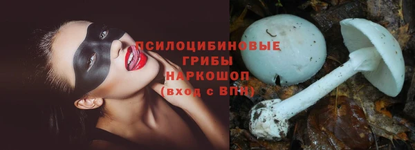трава Абаза